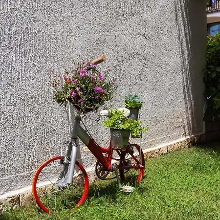 Apartamento Tereza
